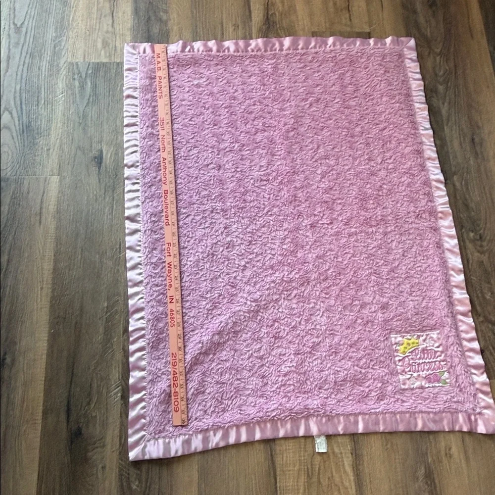 Little‎ Bedding by Nojo Pink Swirl Satin Trim Little Princess Crown Baby Blanket